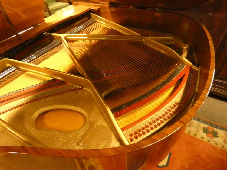 C 840 - Carpeau Wingpiano