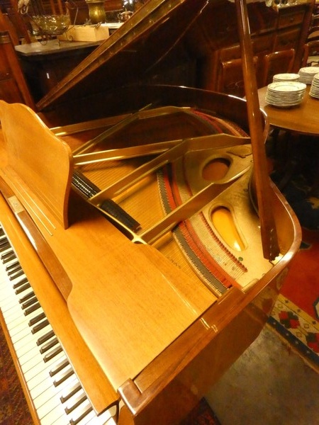 C 840 - Carpeau Wingpiano