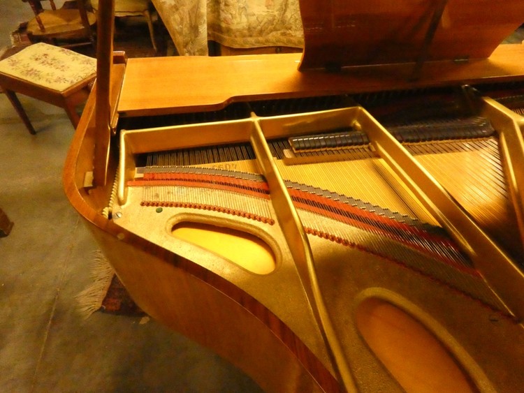 C 840 - Carpeau Wingpiano